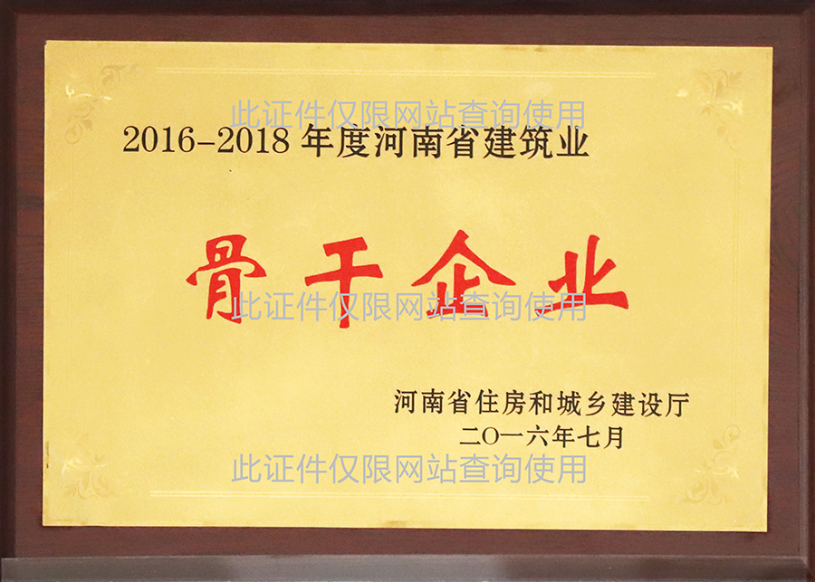 2016-2018年度河南省建筑业骨干企业